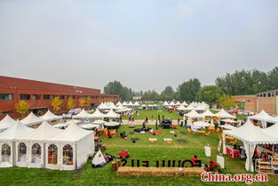 天星family 金伯乐大奖赛起航在即 户外赛事的激情与挑战